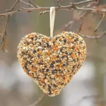 birdseed ornaments 2025 08 03 131028 150x150 1 - Birdseed Ornaments