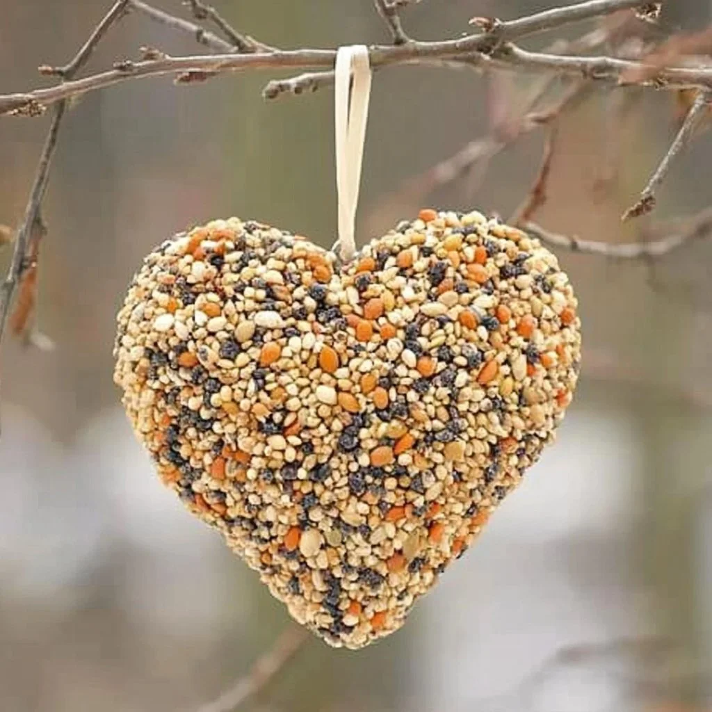 Colorful birdseed ornaments hanging from a tree branch