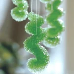 borax crystal ornaments 2025 08 03 131027 150x150 1 - Borax Crystal Ornaments