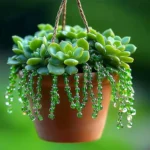 beaded plant craft 2025 09 06 114946 150x150 1 - Beaded Plant Craft