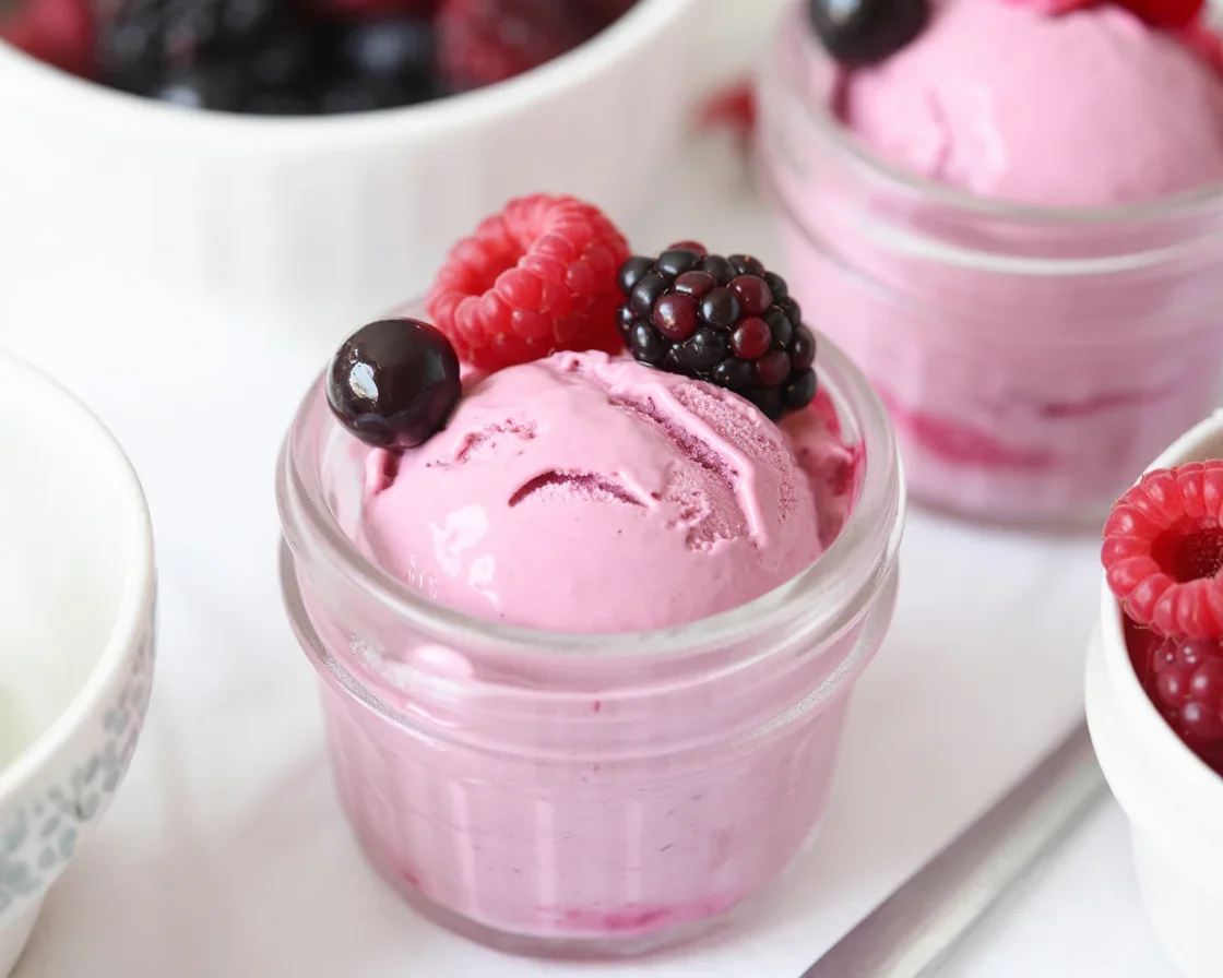 Delicious frozen dairy dessert bars featuring creamy chocolate and fruit flavors