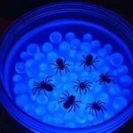 glowing water beads 2025 10 04 203059 150x150 1 - Glowing Water Beads