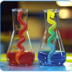 dancing worms chemistry experiment 2025 11 24 204930 150x150 1 - Dancing Worms Chemistry Experiment