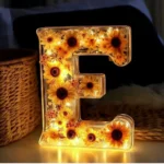 floral resin night light 2025 11 14 104325 150x150 1 - Floral Resin Night Light