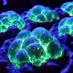 glow in the dark moon rocks 2025 11 24 204918 150x150 1 - Glow-in-the-Dark Moon Rocks