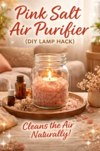 Pink Salt Air Purifier (DIY Lamp Hack) 15 Pink Salt Air Purifier (DIY Lamp Hack)