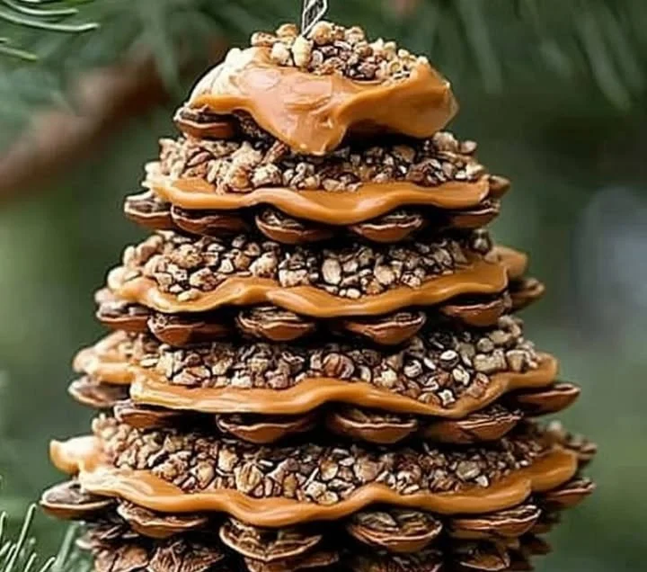 Pinecone Bird Feeder 5 Pinecone Bird Feeder