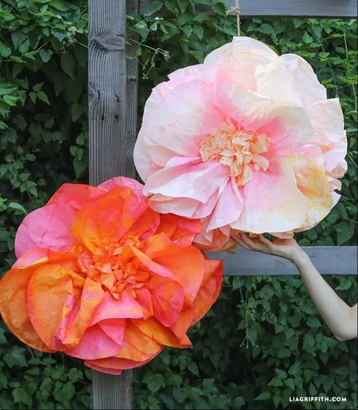 Coffee Filter Flower Backdrop 12 Coffee Filter Flower Backdrop
