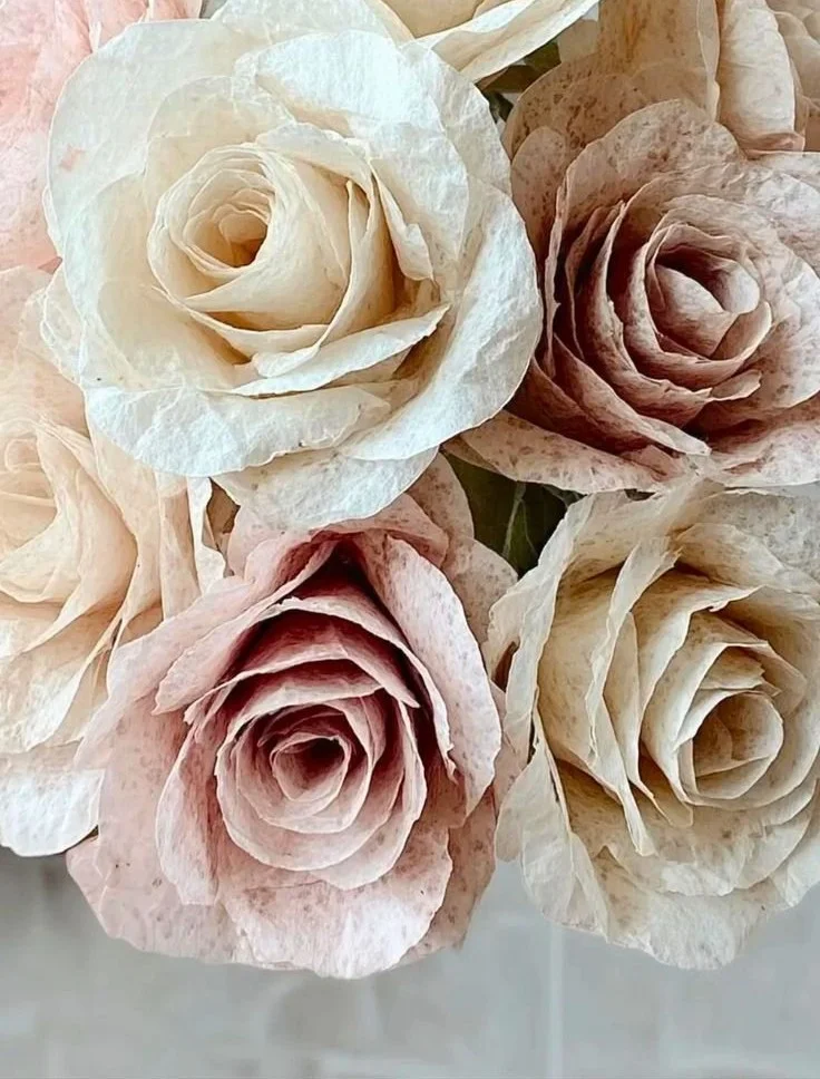 Coffee Filter Flowers And Simple Paper Crafts 12 Coffee Filter Flowers And Simple Paper Crafts