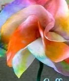 Coffee Filter Flowers Tutorial 11 Coffee Filter Flowers Tutorial