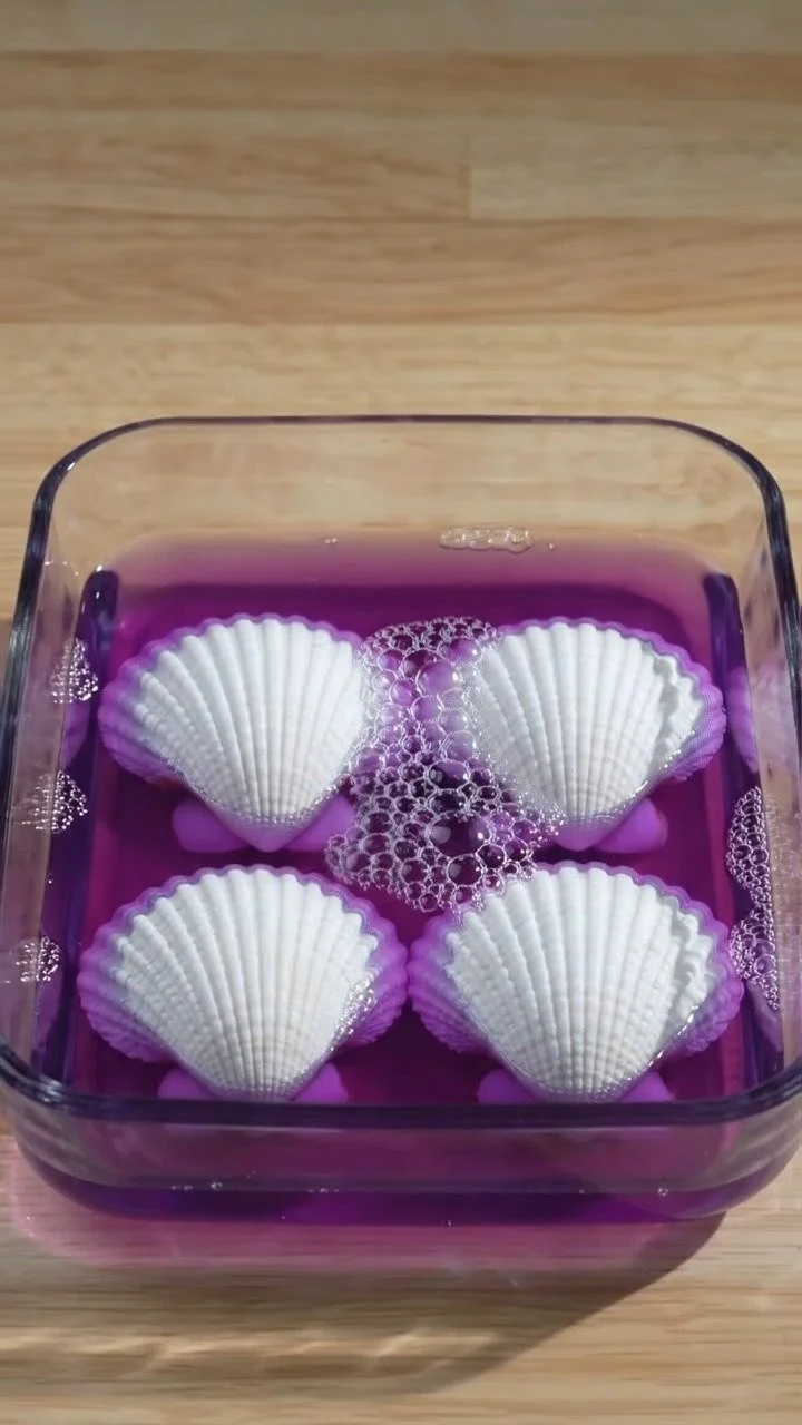 Crystal growing seashells transform simple shells into sparkling ocean-inspired treasures ✨ A magical science DIY. Save this project! 11 Crystal growing seashells transform simple shells into sparkling ocean-inspired treasures ✨ A magical science DIY. Save this project!