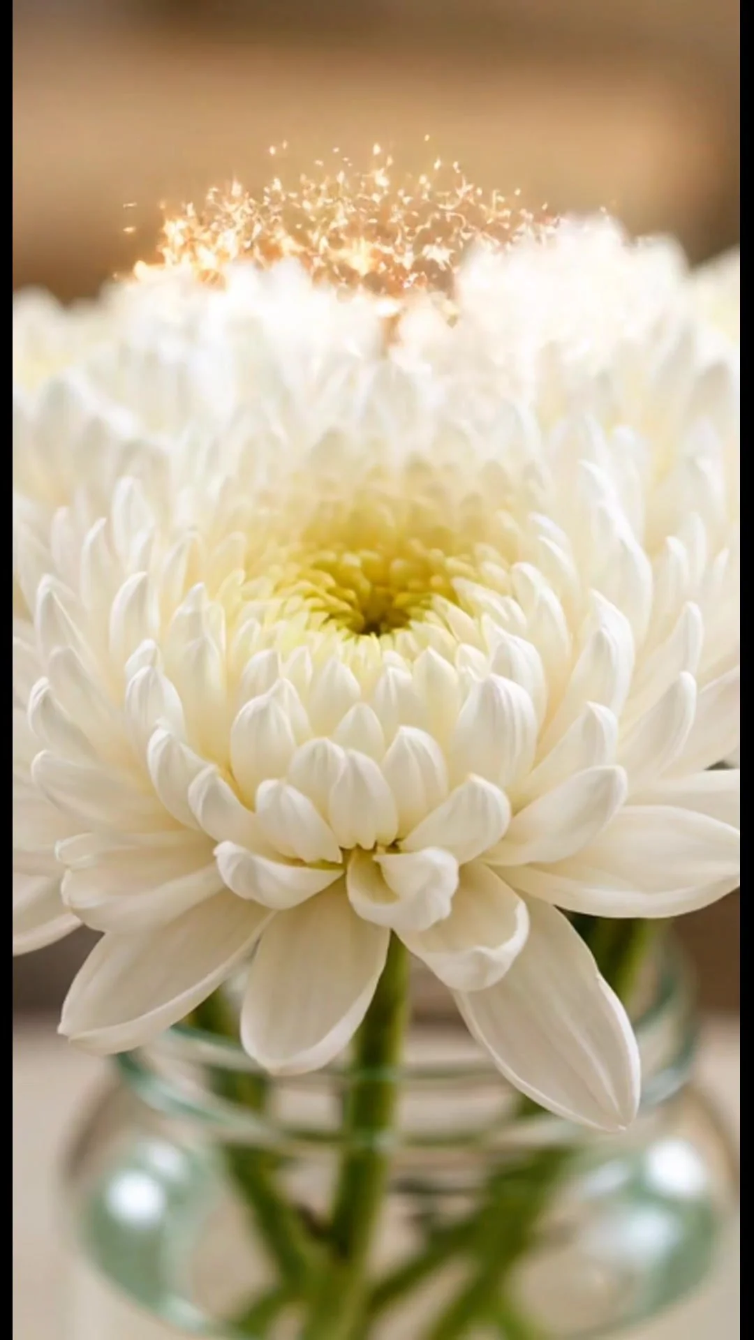Magical Baking Powder Flowers 12 Magical Baking Powder Flowers