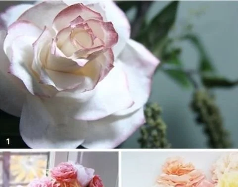Making DIY Coffee Filter Flowers: The Best Tutorials & Guides 12 Making DIY Coffee Filter Flowers: The Best Tutorials & Guides