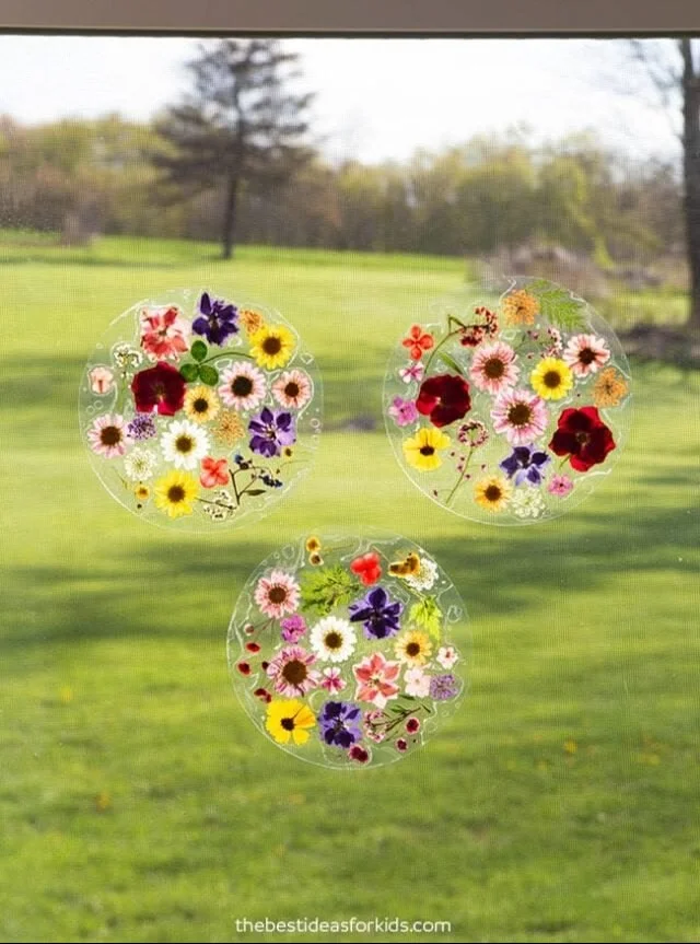 Pressed Flower Suncatcher 11 Pressed Flower Suncatcher