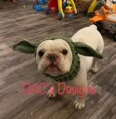 Crochet Dog Hat Patterns 6 30 Crochet Dog Hat Patterns - Crochet News